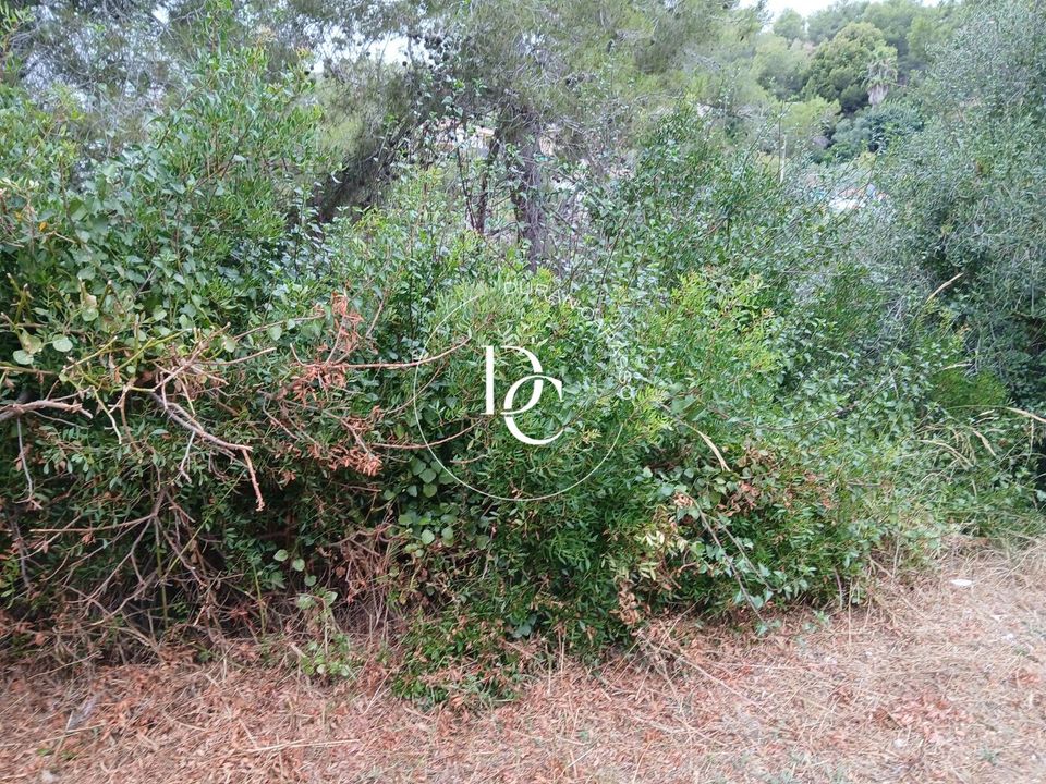 Terreno en Olivella, Barcelona - foto 3