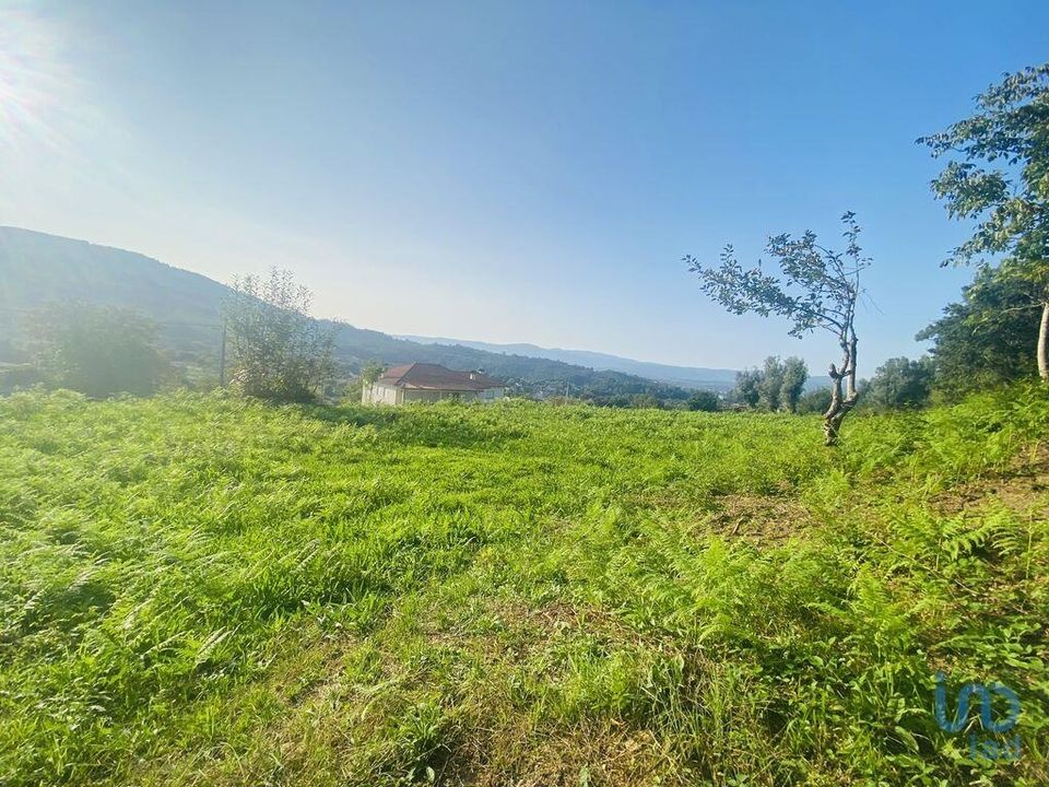 Helårsgrund i Vila Nova de Cerveira, Viana do Castelo - foto 1