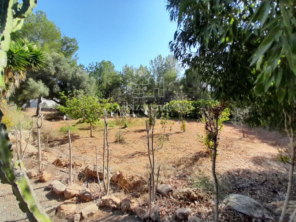 Villa i Santa Eulalia Del Rio, Ibiza - foto 4