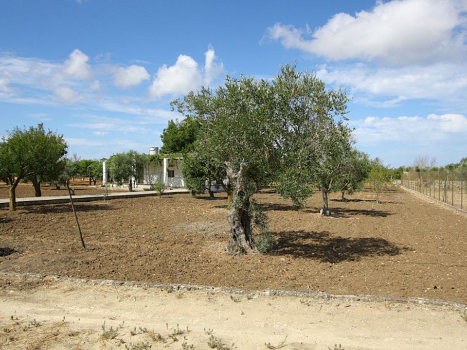 Erhvervsejendom i Gallipoli, Lecce - foto 4