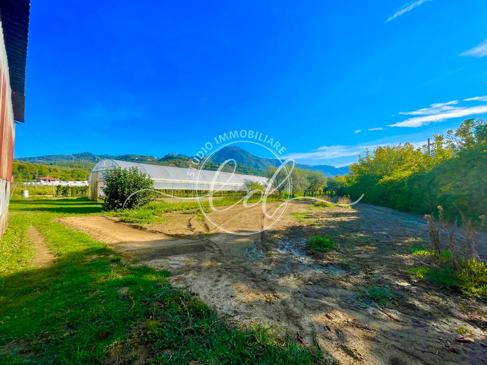 Villa a Camaiore, Lucca - foto 2
