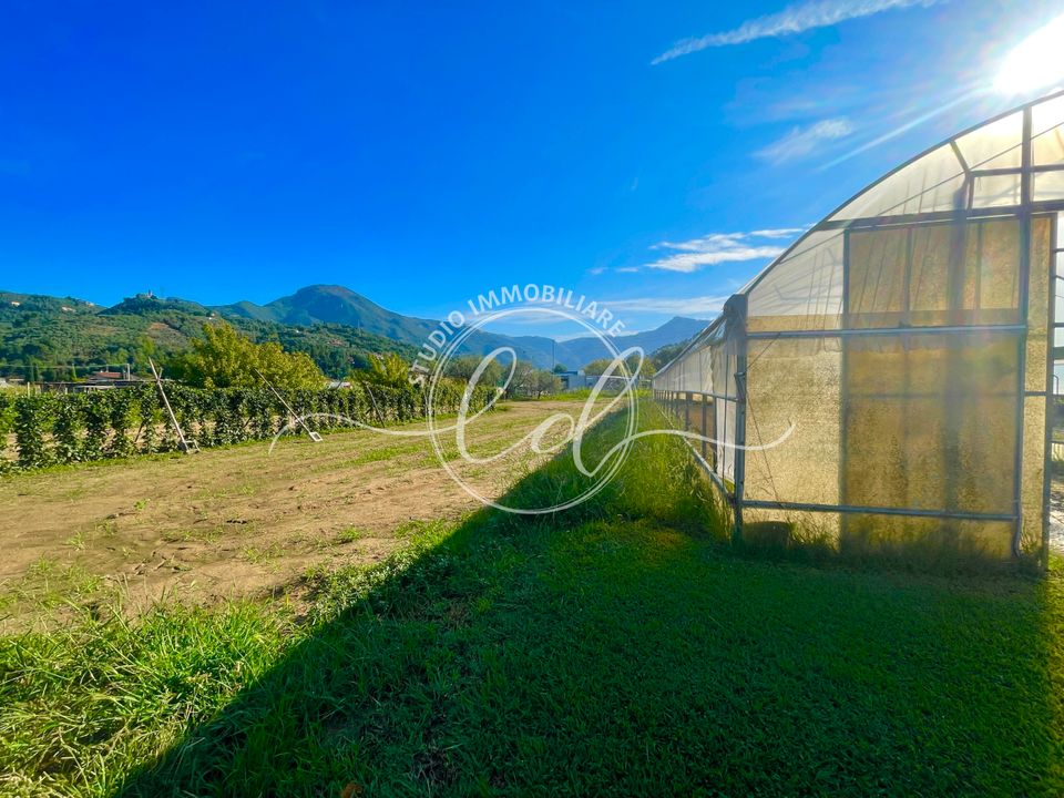 Villa a Camaiore, Lucca - foto 3