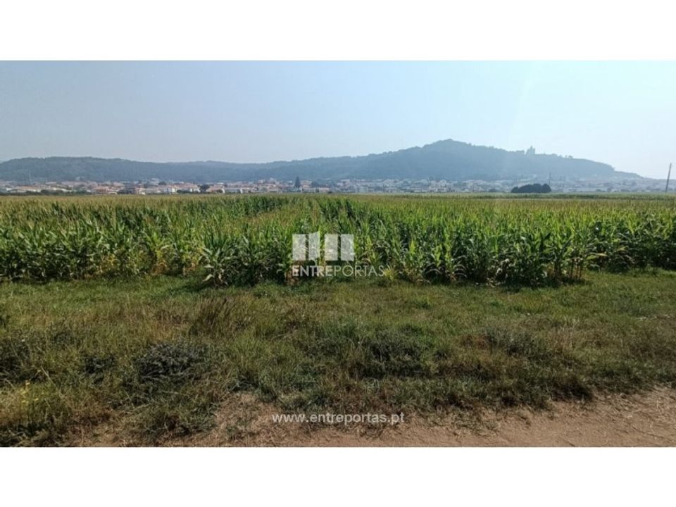 Helårsgrund i Areosa, Viana do Castelo - foto 2