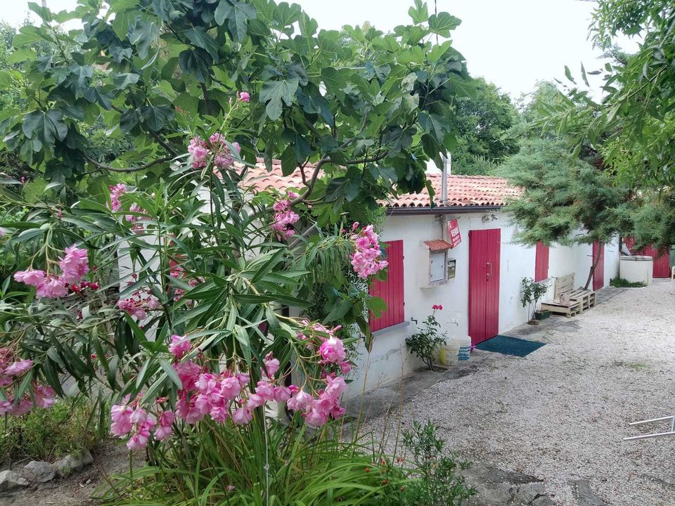 Villa i Sogliano al Rubicone, Forli-Cesena - foto 2