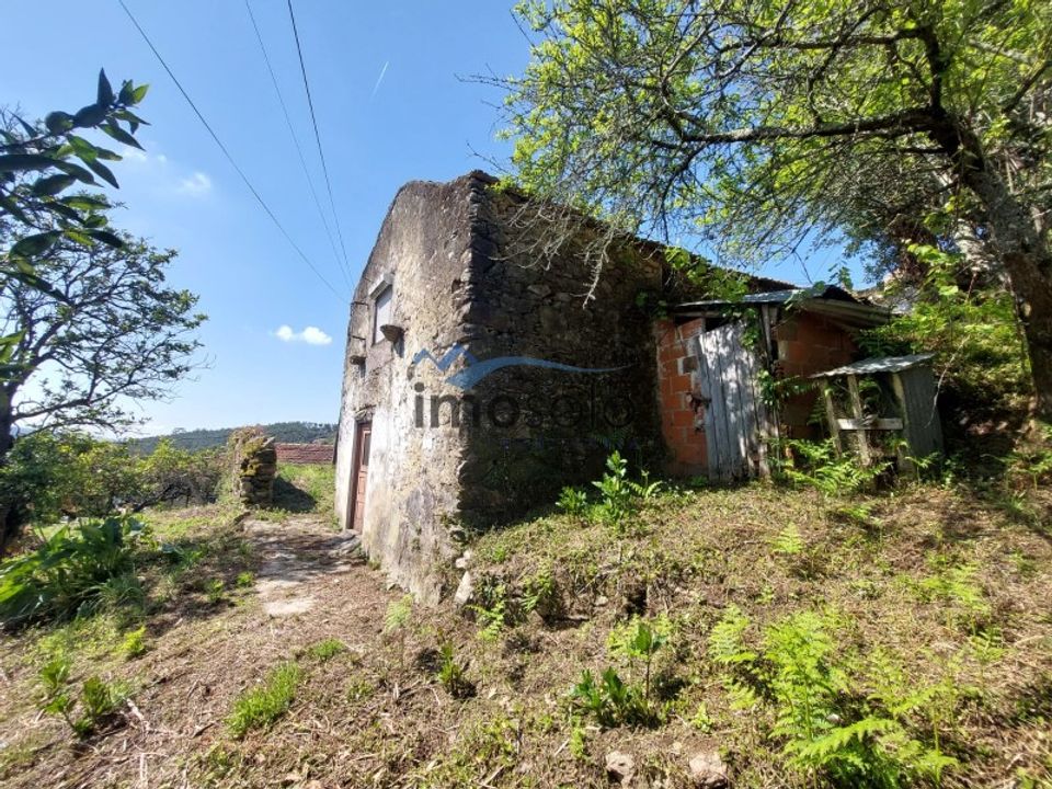 Landejendom i Oliveira de Azemeis, Aveiro - foto 4
