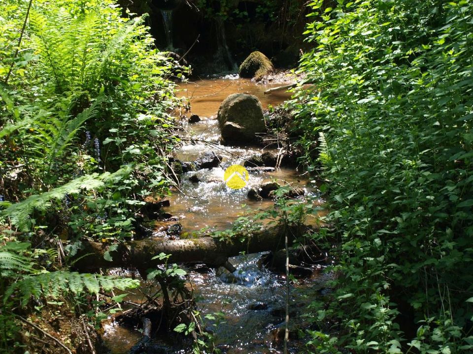 Helårsgrund i Néris-les-Bains, Allier - foto 3