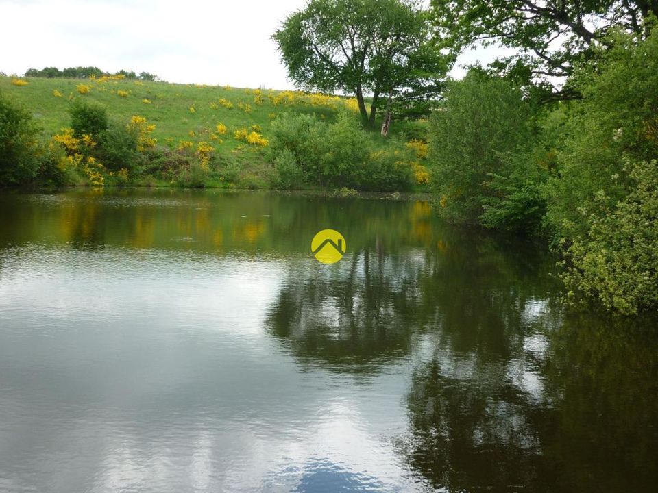 Helårsgrund i Néris-les-Bains, Allier - foto 4