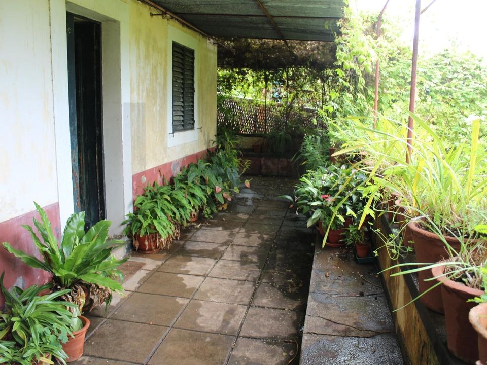 Helårsgrund i Funchal, Madeira - foto 5