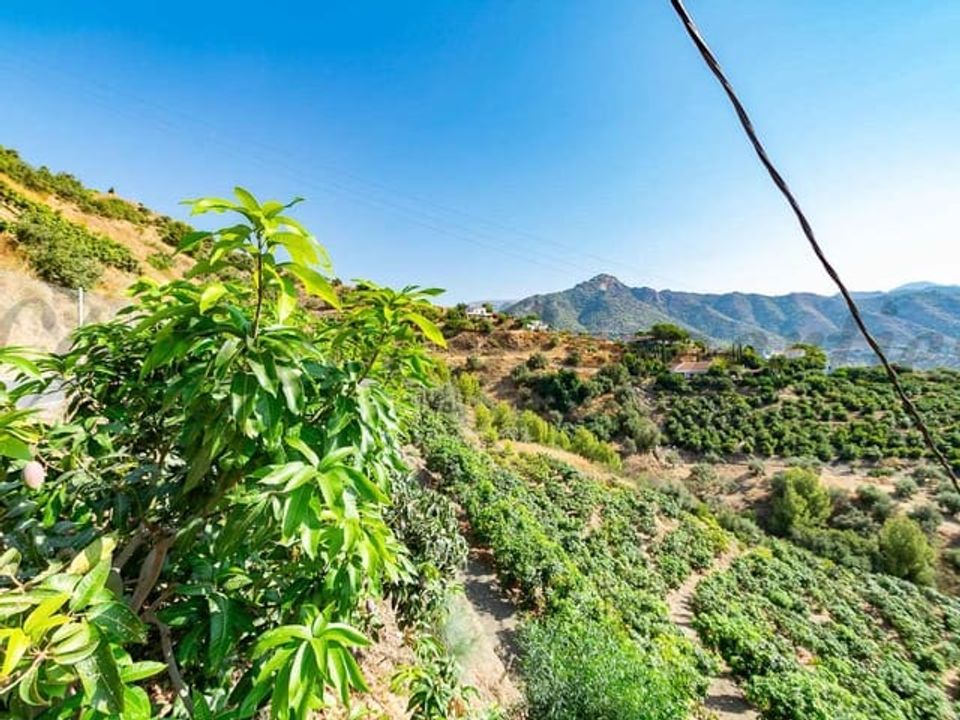 Helårsgrund i Torrox, Malaga - foto 4