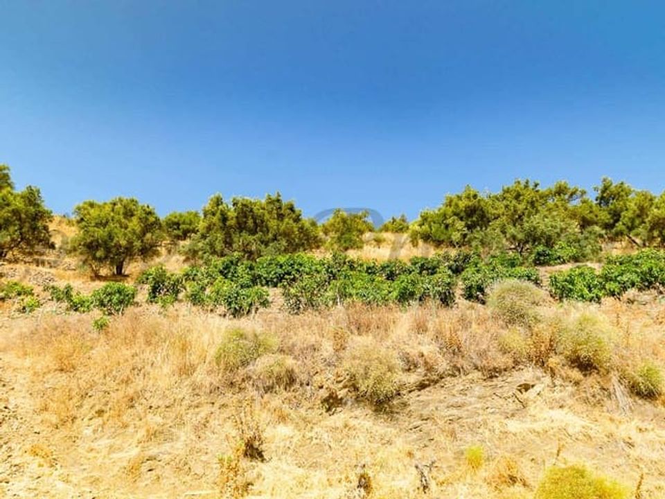 Helårsgrund i Torrox, Malaga - foto 5