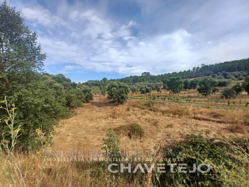 Farm i Serra, Santarem - foto 3