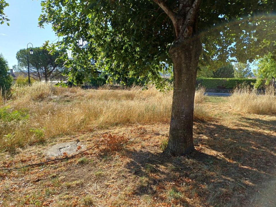 Terra a Chomérac, Ardeche - foto 1