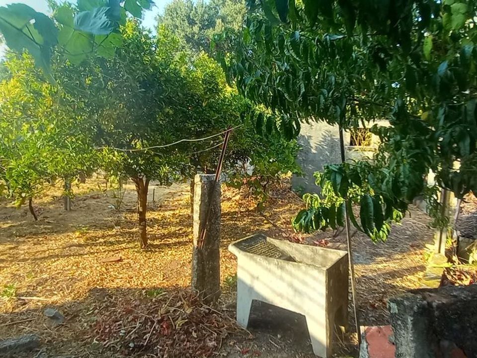 Villa i Bela, Viana do Castelo - foto 3