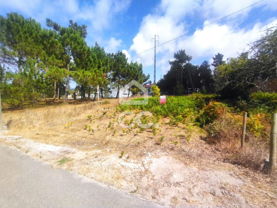 Helårsgrund i Vieira de Leiria, Leiria - foto 5
