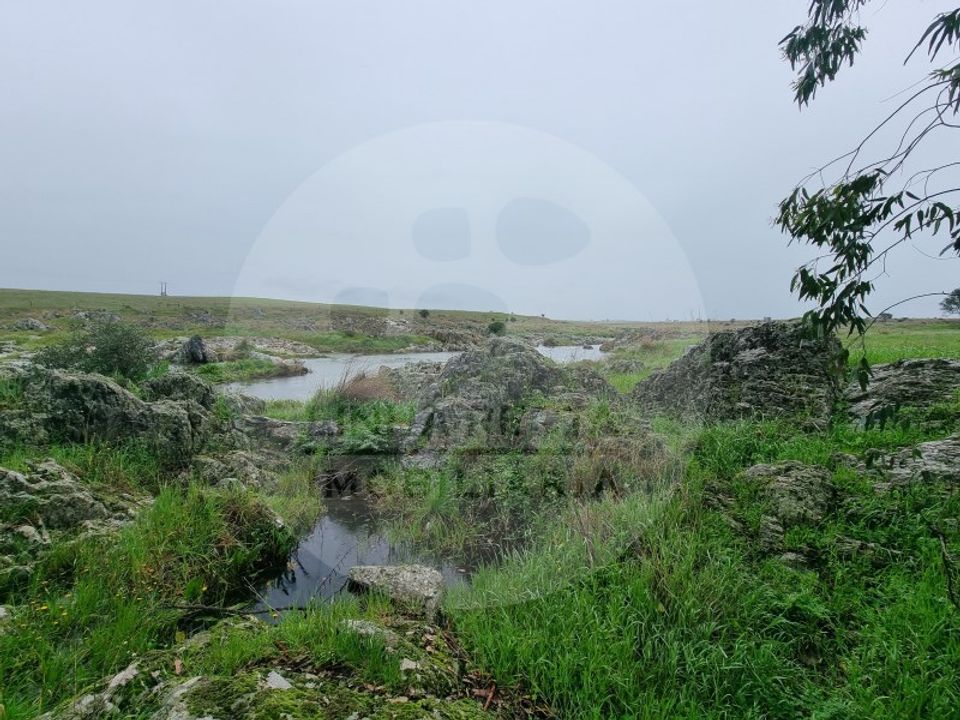 Villa i Ourique, Beja - foto 4