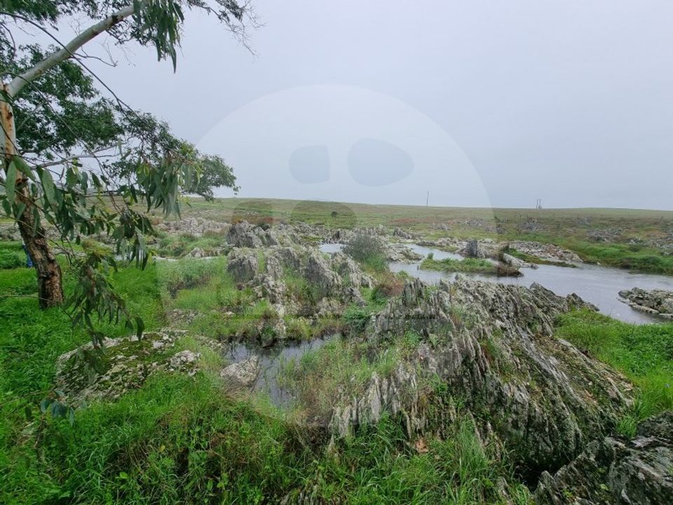 Villa i Ourique, Beja - foto 5