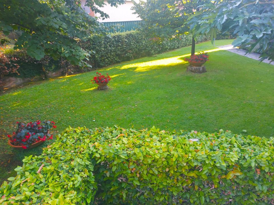 Lejlighed i Borgio Verezzi, Savona - foto 2