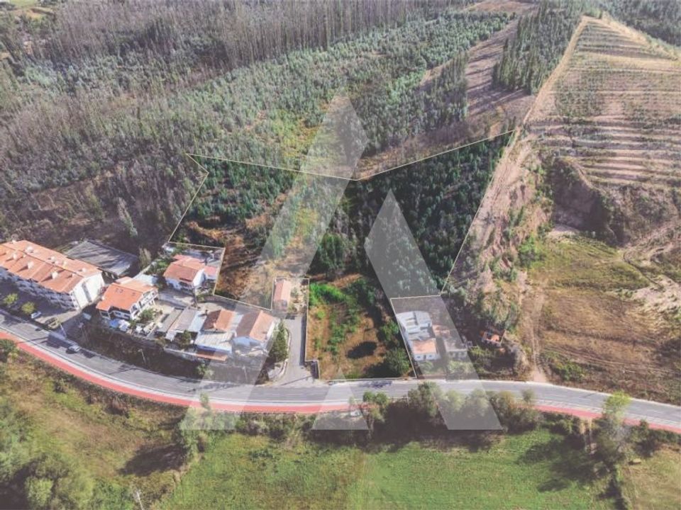 Helårsgrund i Albergaria-a-Velha, Aveiro - foto 2