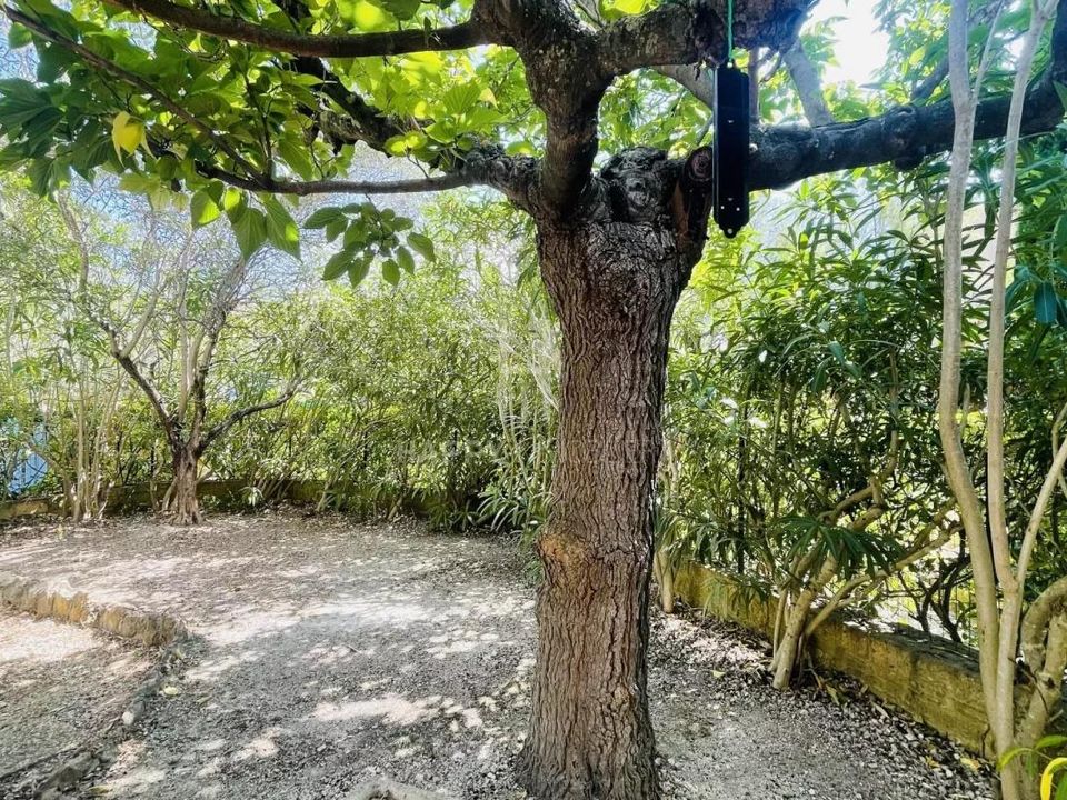 Villa i Maussane-les-Alpilles, Bouches-du-Rhone - foto 5