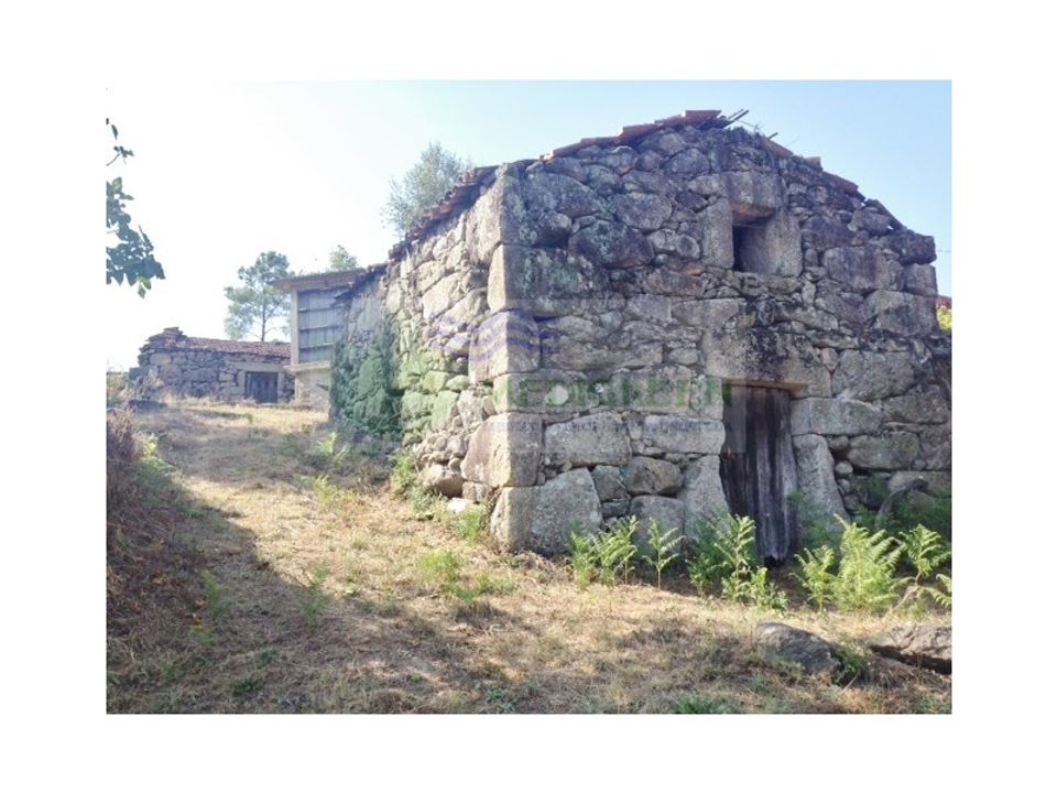 Farm i Sever do Vouga, Aveiro - foto 1