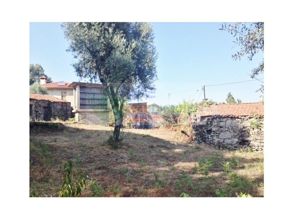 Farm i Sever do Vouga, Aveiro - foto 2