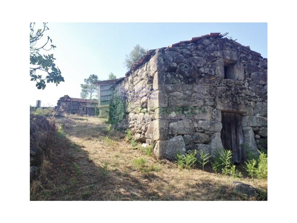 Farm i Sever do Vouga, Aveiro - foto 3