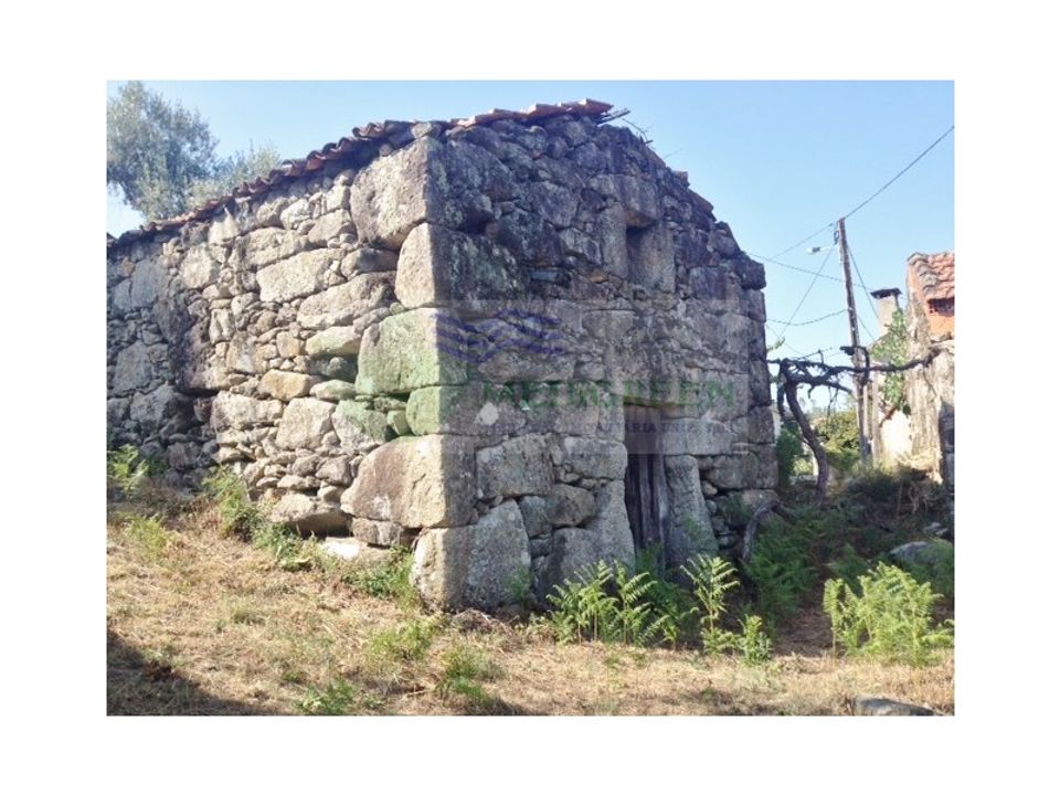 Farm i Sever do Vouga, Aveiro - foto 4