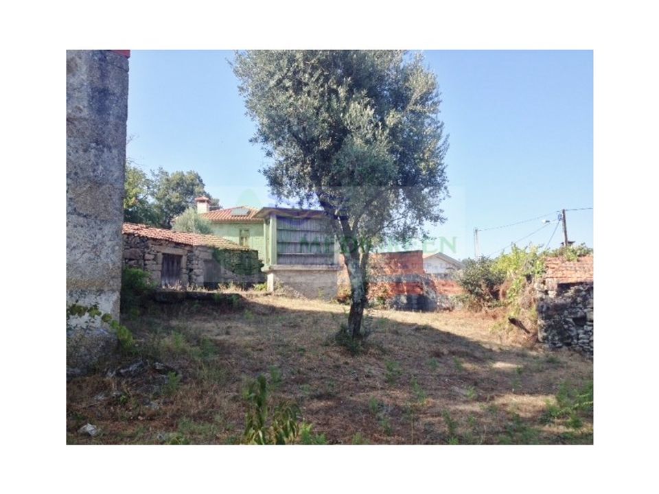 Farm i Sever do Vouga, Aveiro - foto 5