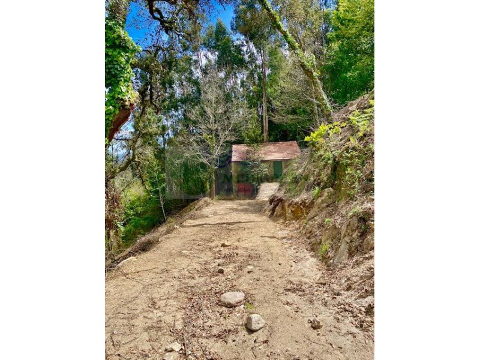 Villa en Sever do Vouga, Aveiro - foto 3