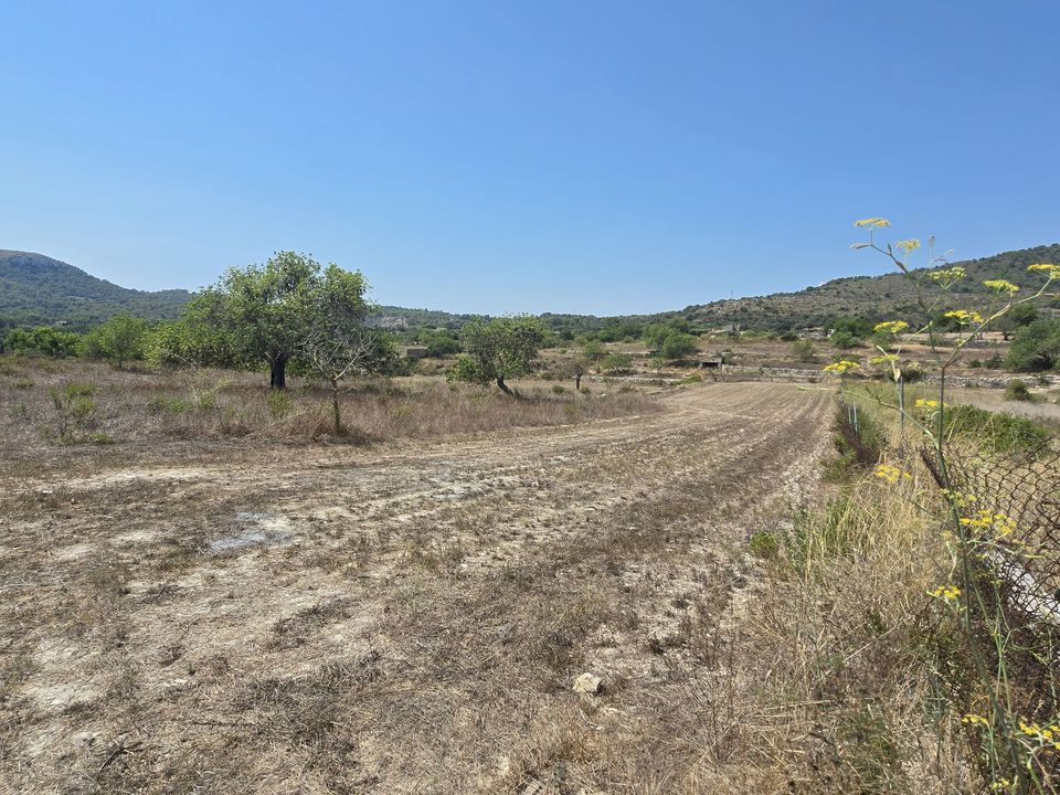 Helårsgrund i Son Servera, Mallorca - foto 2