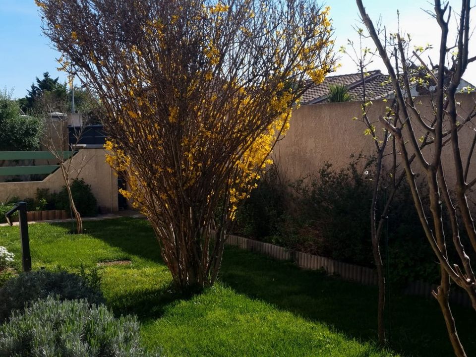 Villa i Saint-Genies-de-Fontedit, Herault - foto 2