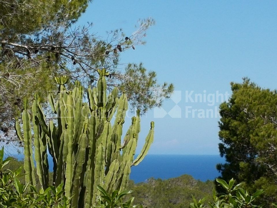 Farm i Cala de Bou, Ibiza - foto 3