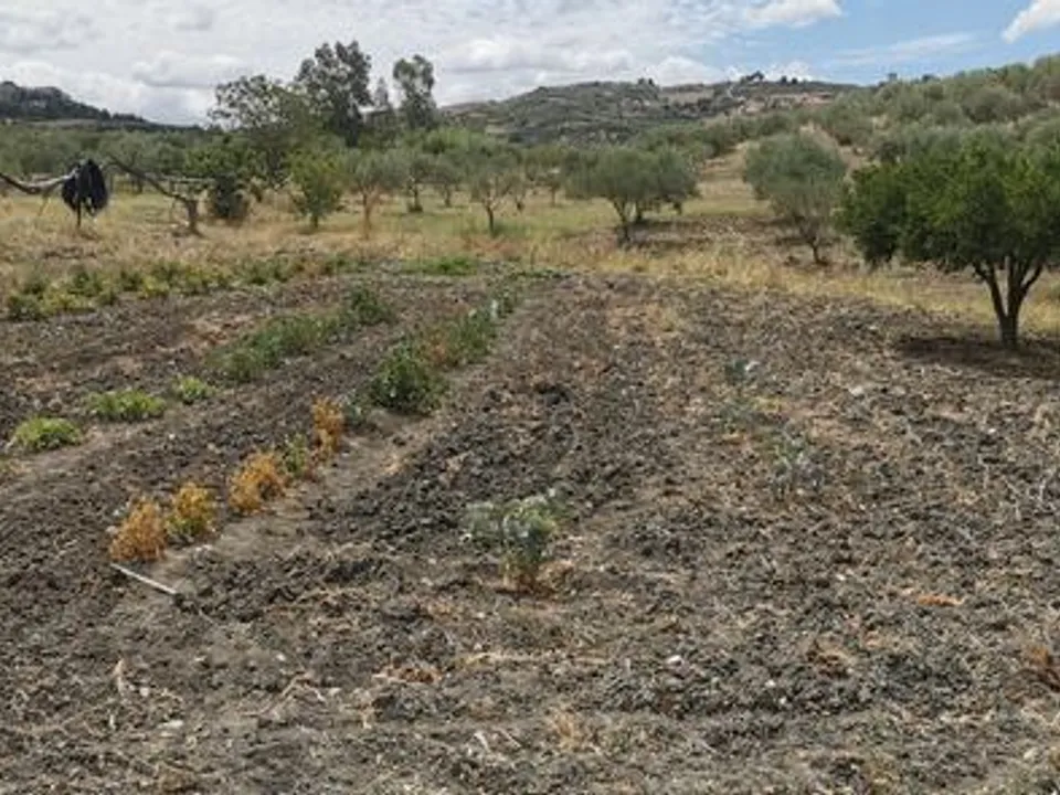 Helårsgrund i Alessandria della Rocca, Agrigento - foto 1