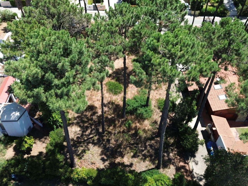 Helårsgrund i Almada, Setubal - foto 4