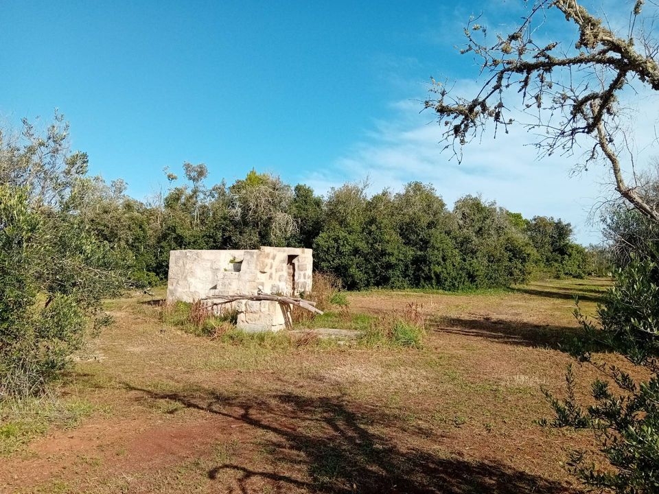 Helårsgrund i Ortelle, Lecce - foto 2