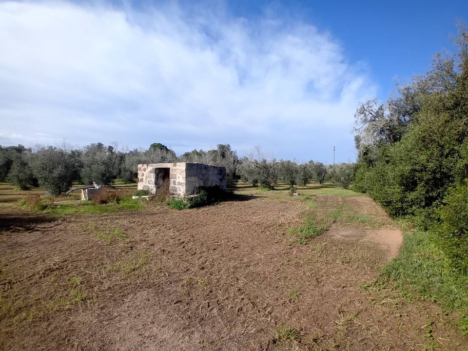 Helårsgrund i Ortelle, Lecce - foto 3