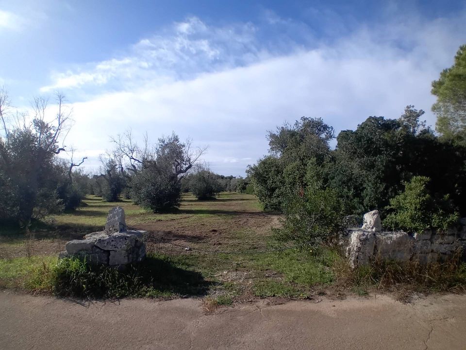 Helårsgrund i Ortelle, Lecce - foto 4