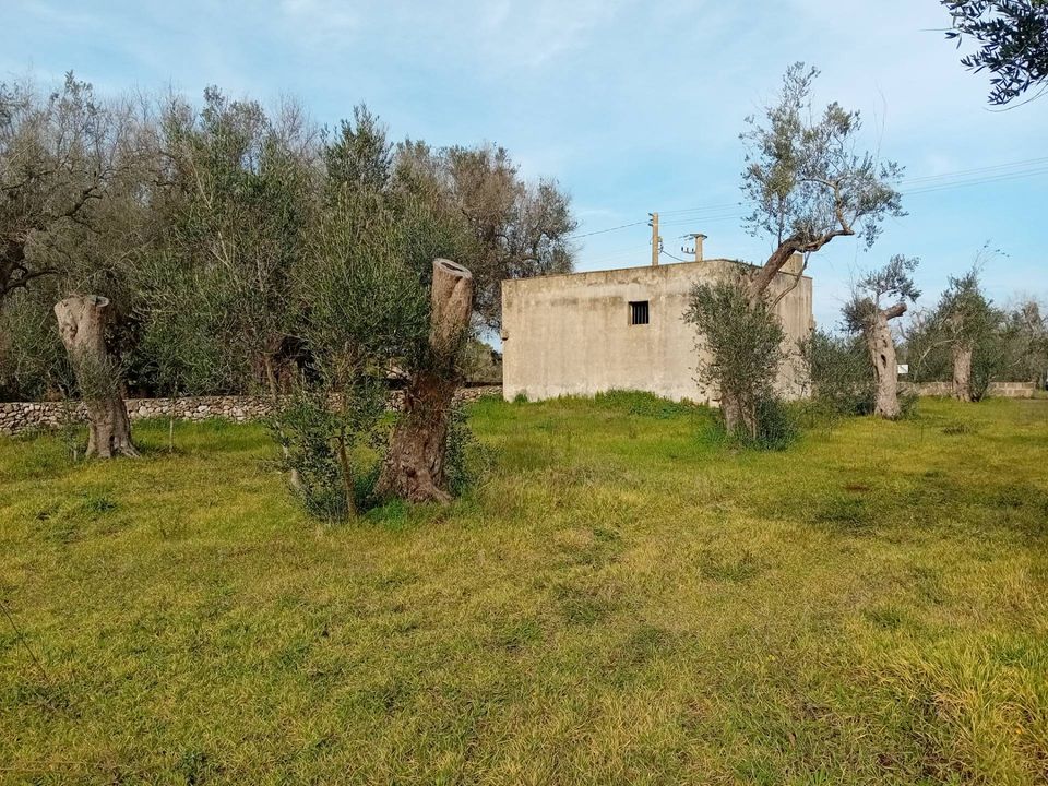 Helårsgrund i Giuggianello, Lecce - foto 2