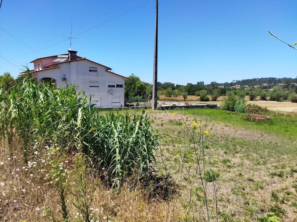 Helårsgrund i Pombal, Leiria - foto 4