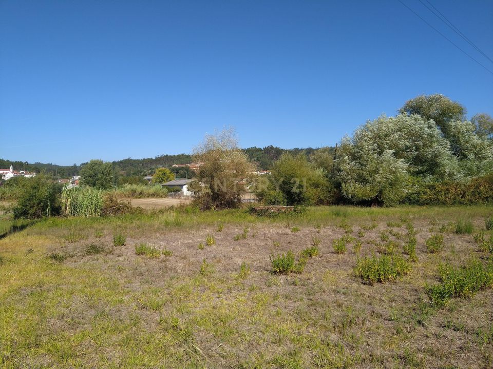 Helårsgrund i Pombal, Leiria - foto 5