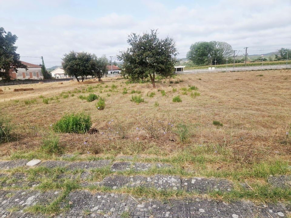 Helårsgrund i Pombal, Leiria - foto 1