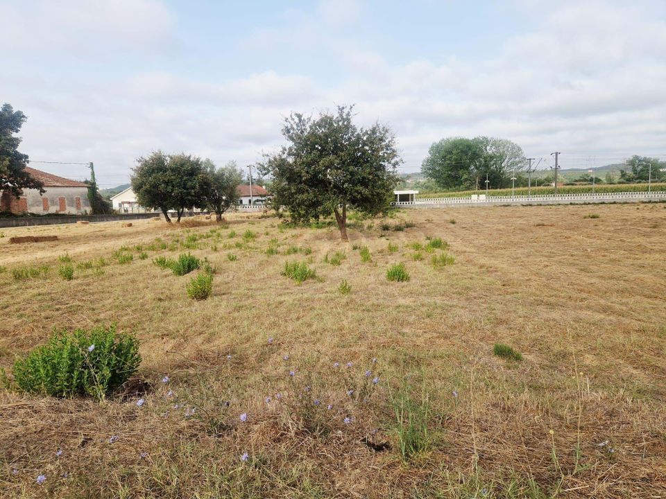Helårsgrund i Pombal, Leiria - foto 2