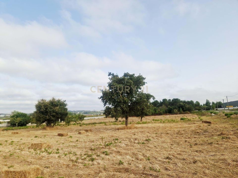 Helårsgrund i Pombal, Leiria - foto 5