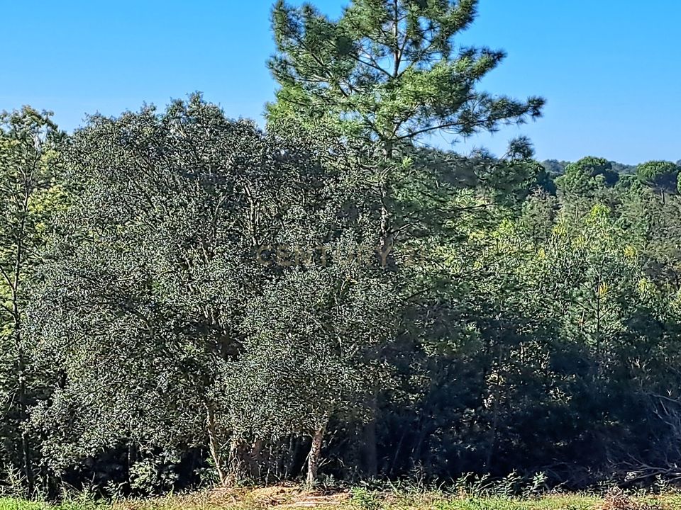 Helårsgrund i Brejos de Azeitao, Setubal - foto 3