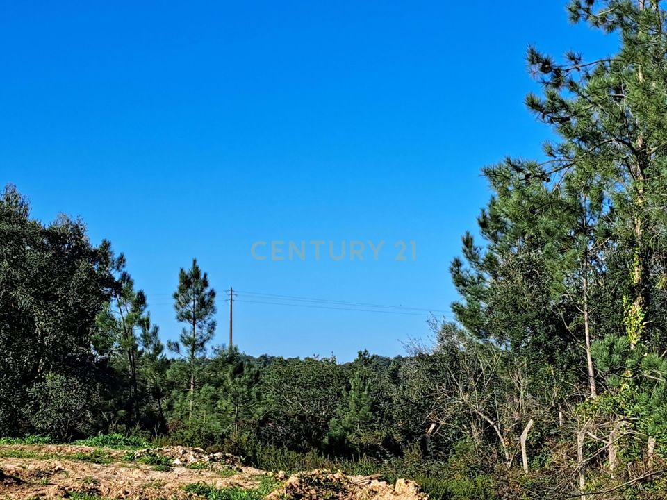 Helårsgrund i Brejos de Azeitao, Setubal - foto 5