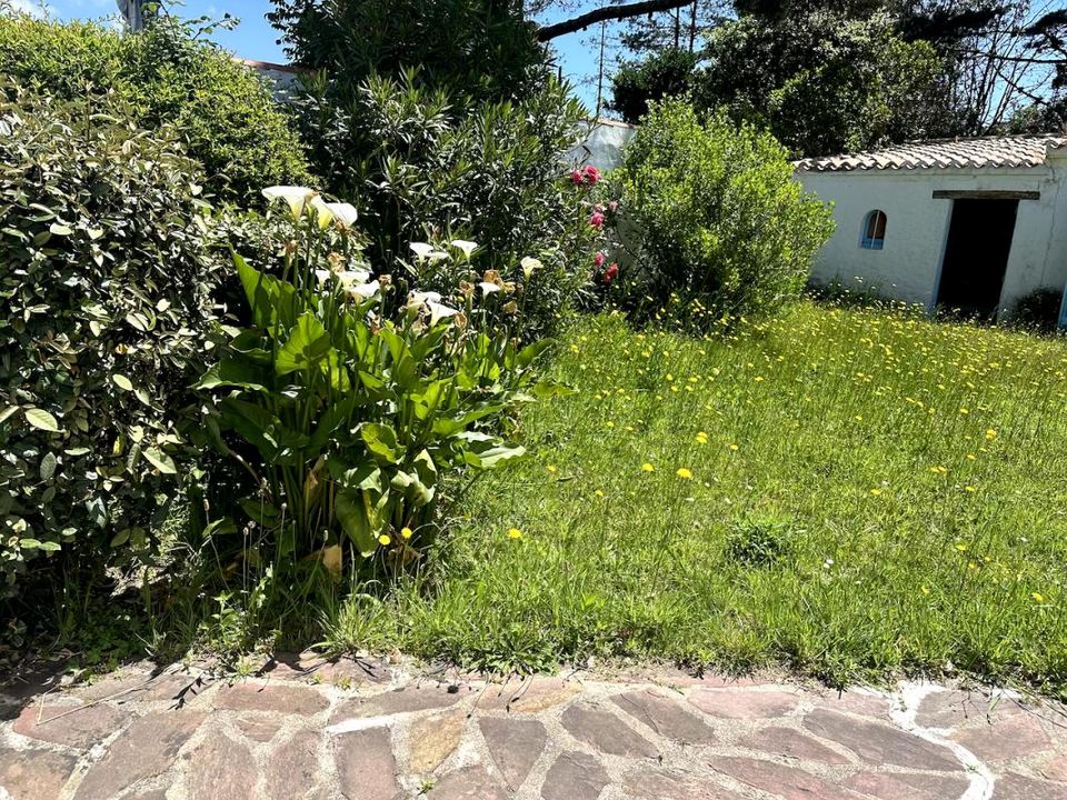 Villa i Noirmoutier-en-l'Île, Vendee - foto 4