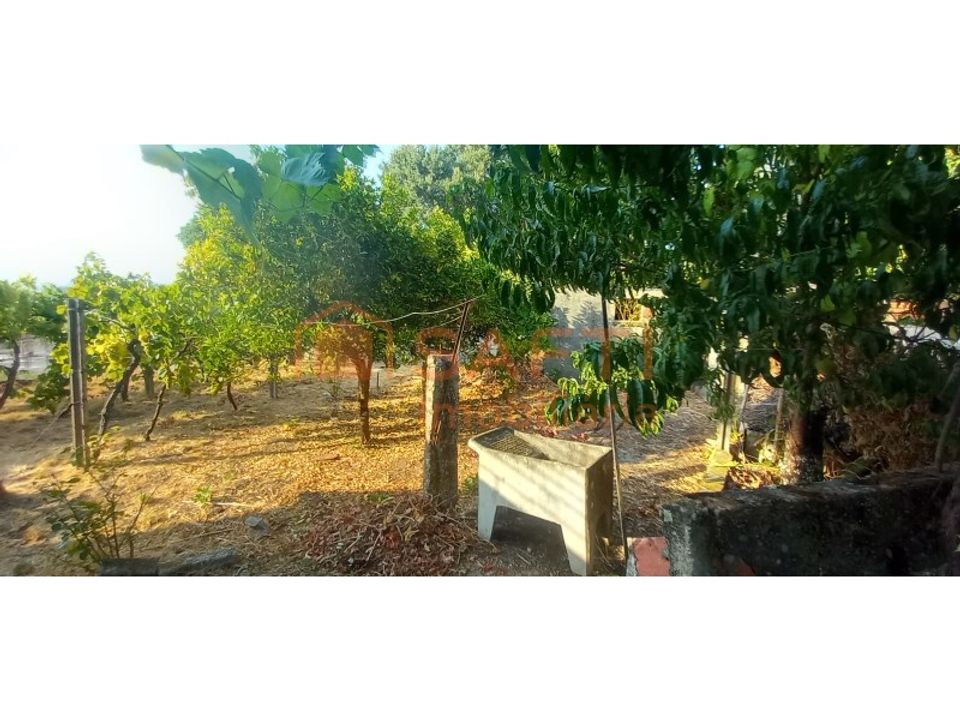 Landejendom i Bela, Viana do Castelo - foto 3