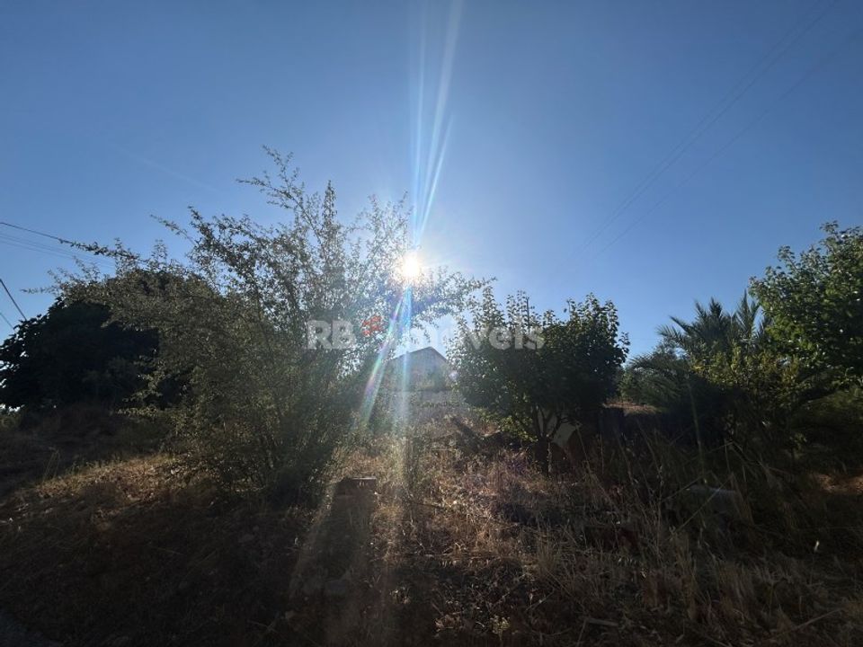 Helårsgrund i Abrantes, Santarem - foto 4