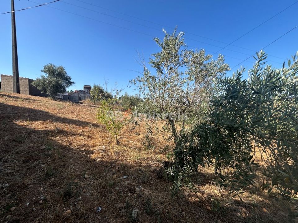 Helårsgrund i Abrantes, Santarem - foto 2