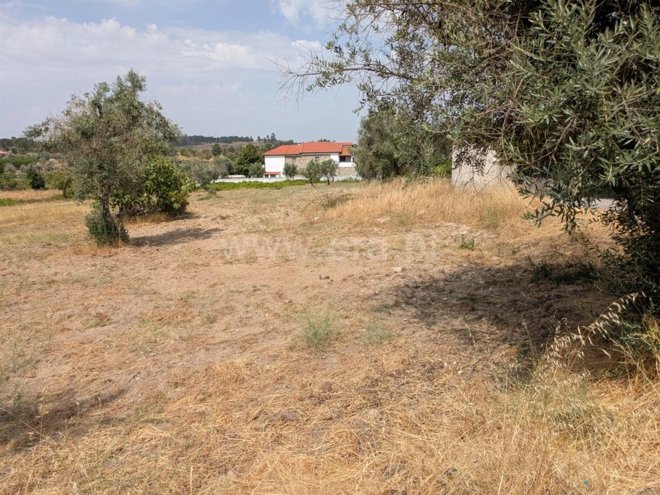 Helårsgrund i Gouveia, Guarda - foto 3